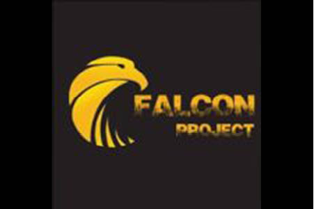 Falcon Sports